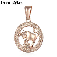 Load image into Gallery viewer, Trendsmax 12 Zodiac Sign Constellations Pendants Necklaces