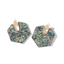 Load image into Gallery viewer, 2018 New Fashion Leopard Grain Multi-Color Big Hook Acrylic Earrings Special Design Semicircle Resin Drop Earring ZA Brincos